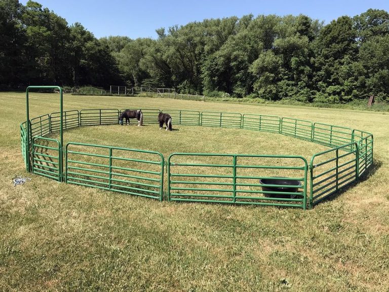 50ft round pen Corral Panel